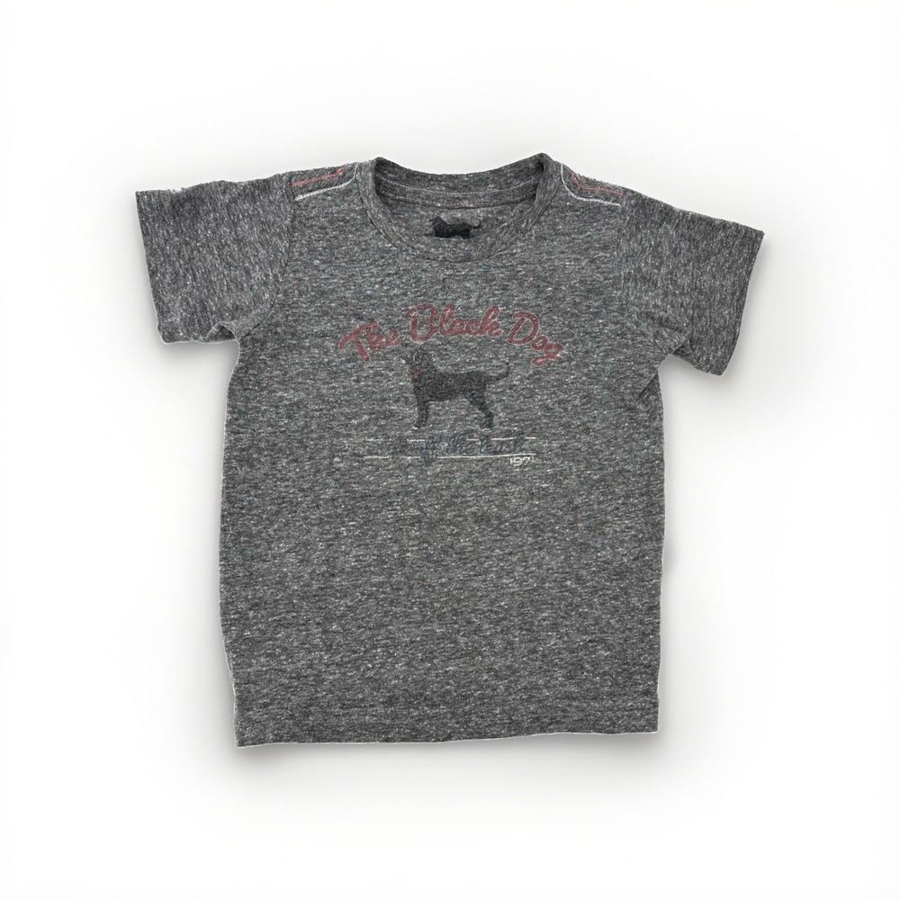 The Black Dog Toddler Martha's Vineyard Vintage Collection Gray 1971 T-Shirt 2T